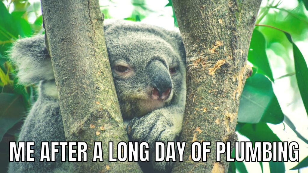 Long Day of Plumbing Meme