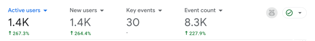 Newman's GA 4 Traffic 2025 Newman's Google Analytics 4 Traffic 2025