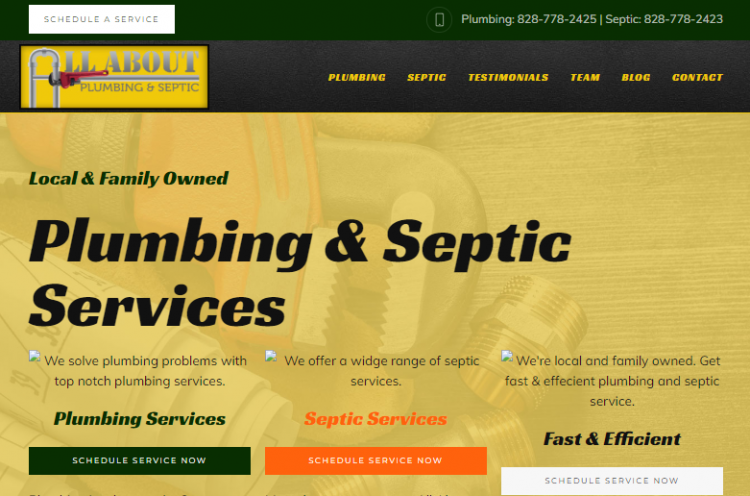 Old Site Design A Look at AAPS Old Site Design