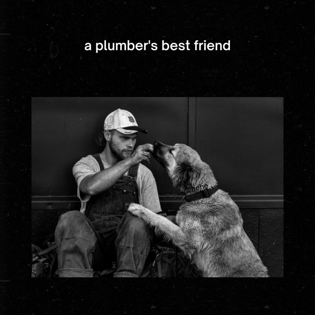 Plumber's Best Friend Meme Plumber's Best Friend Meme