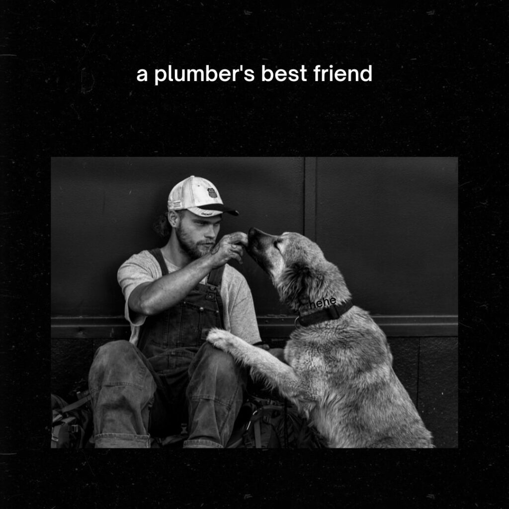 Plumber's Best Friend Meme