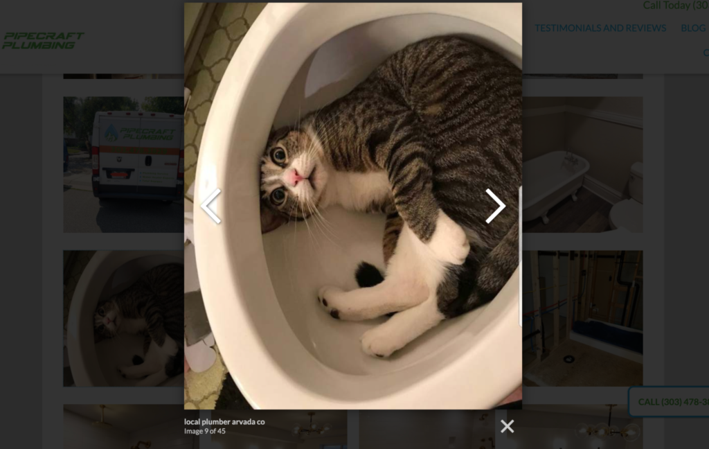 Cat plumbers will always make, not break your UGC strategy