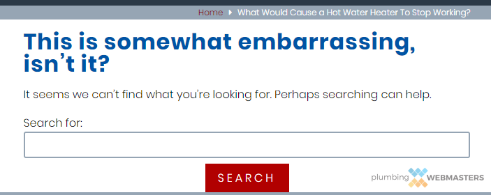 An Error in a Site Search