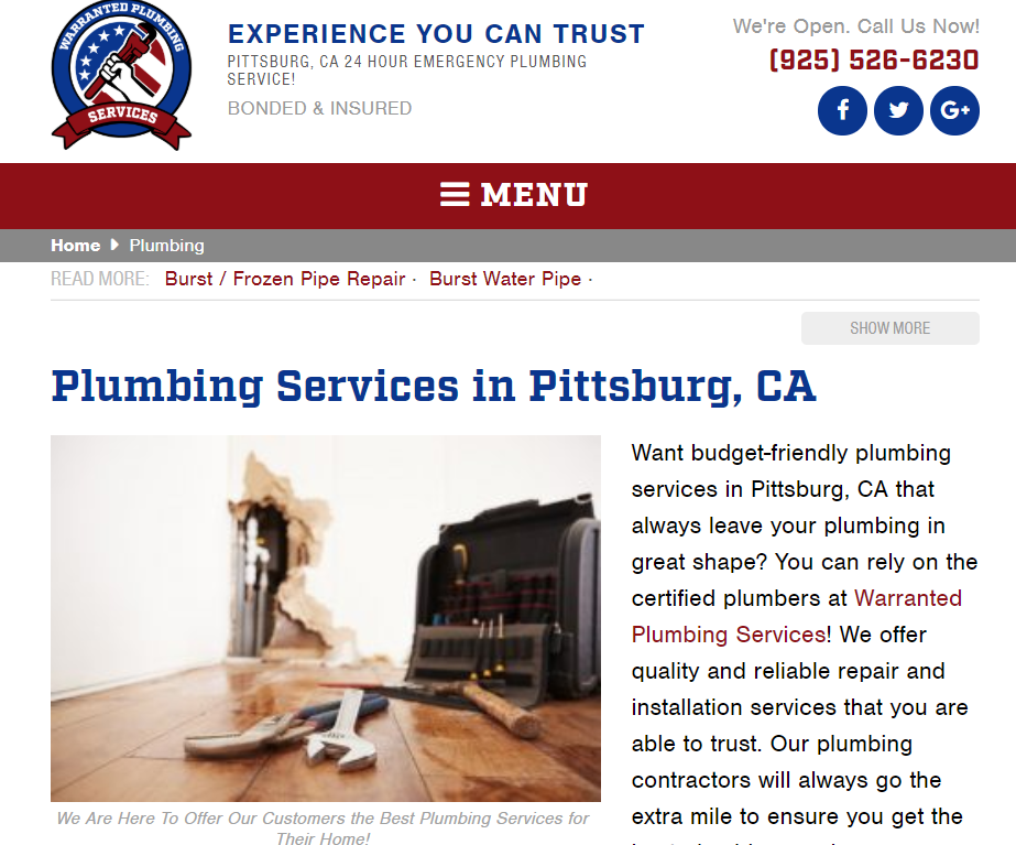 Plumbing Websites Templates Example