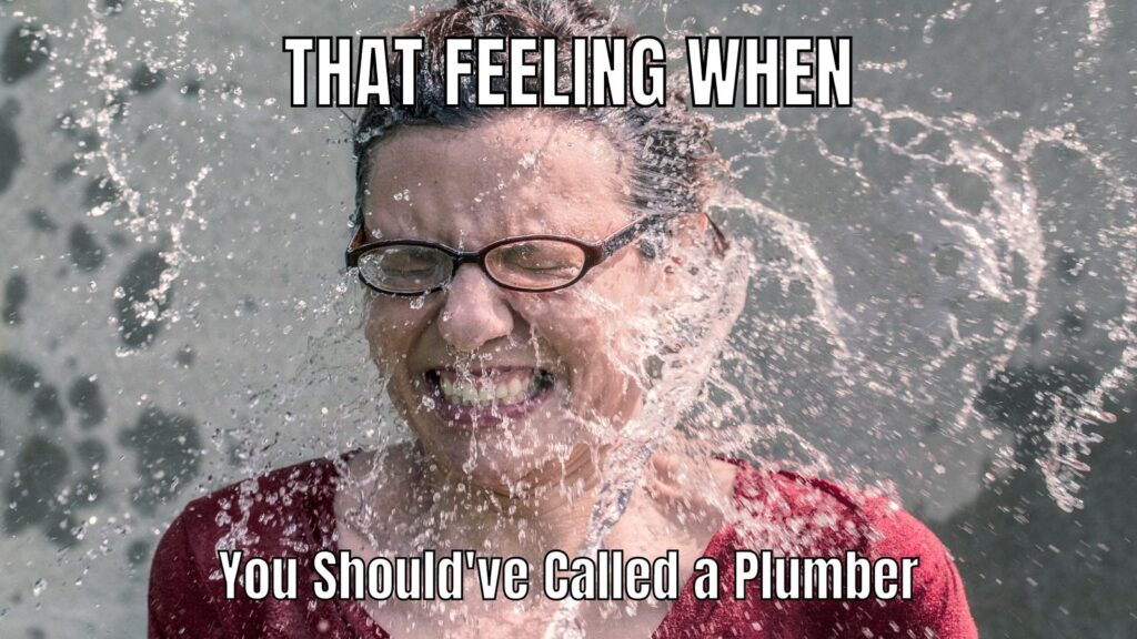 Should've Called a Plumber Meme