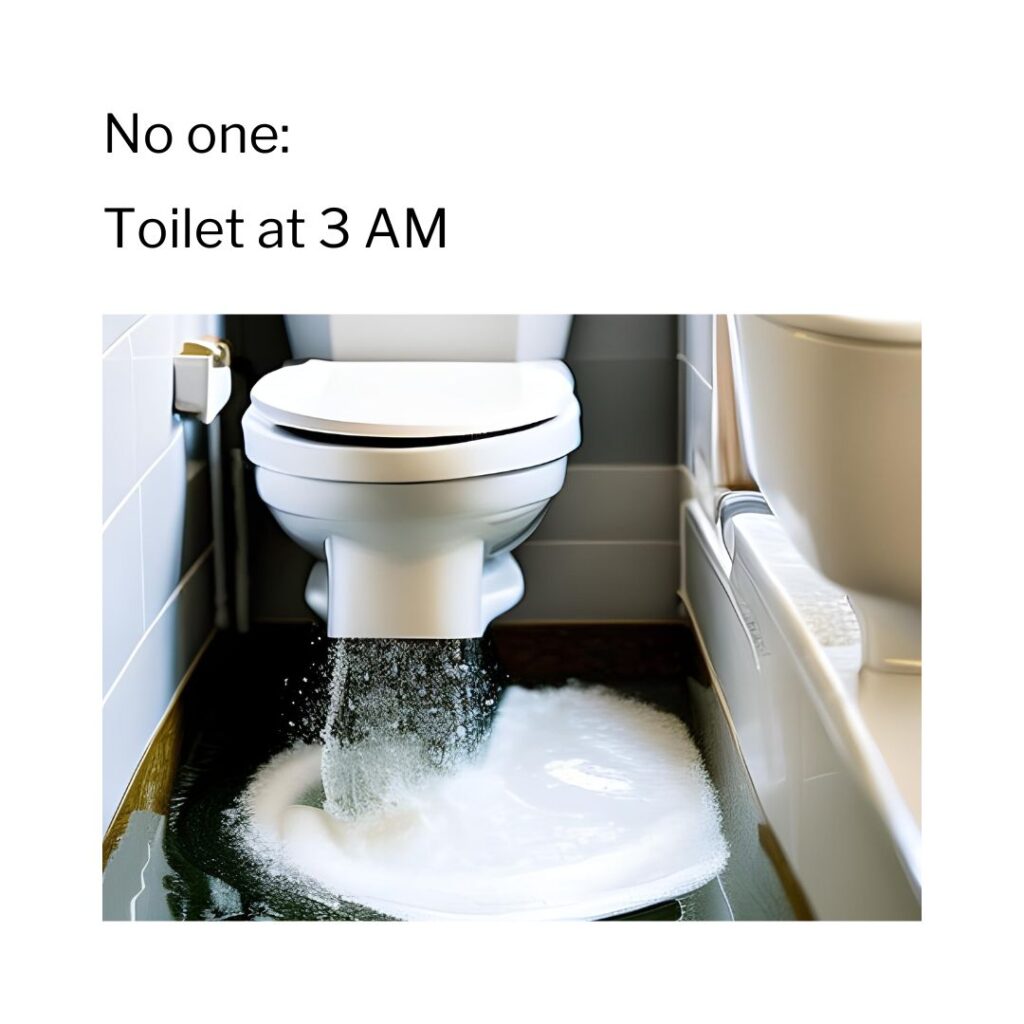 Toilet Overflow Meme