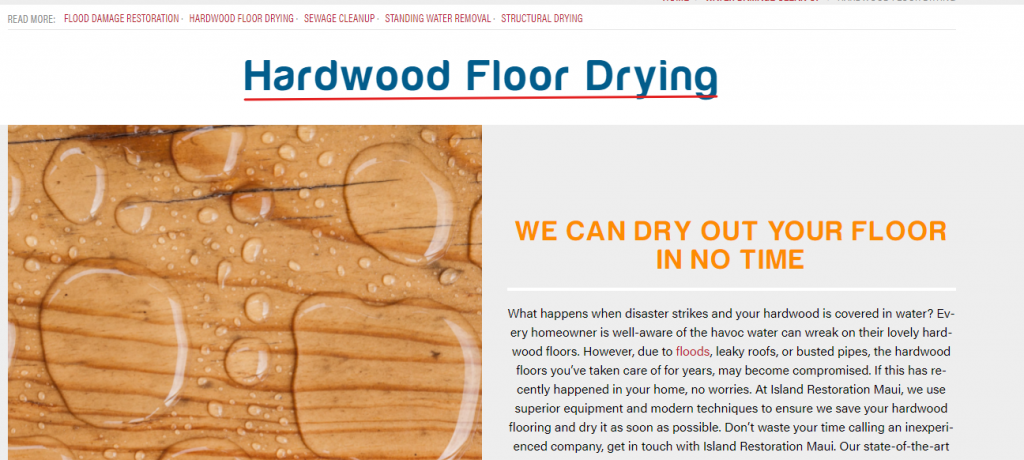 Water Restoration SEO Example Water Restoration SEO Example